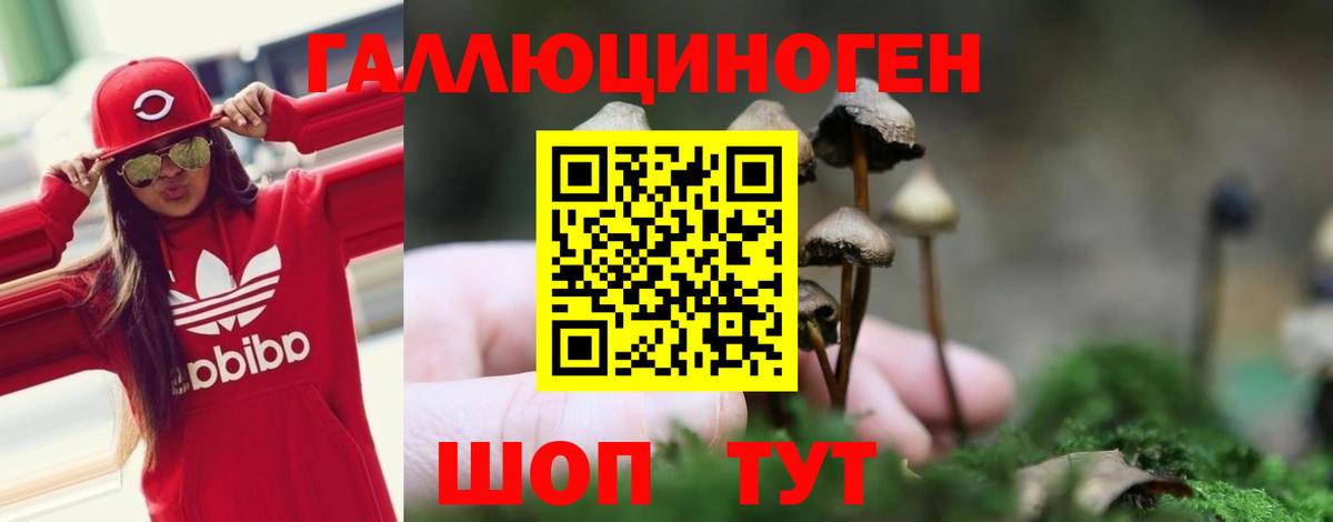 Псилоцибиновые грибы ЛСД Сафоново