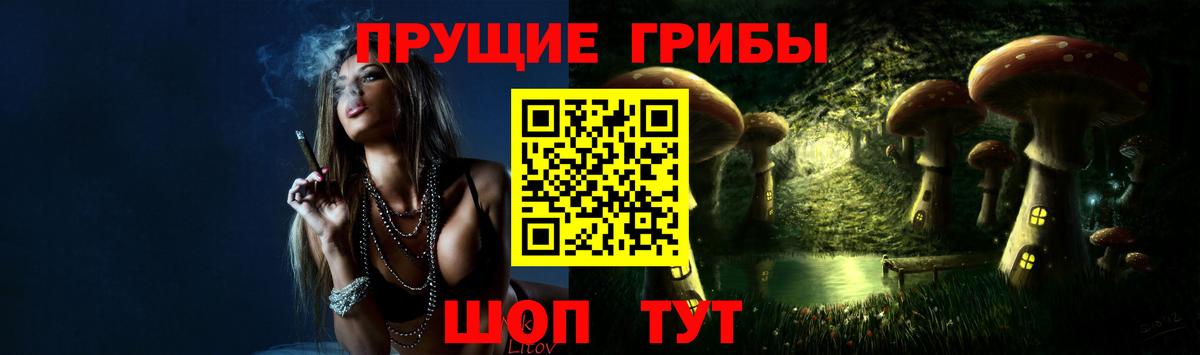 дарнет шоп  Вход с VPN  Сафоново  Псилоцибиновые грибы мицелий 